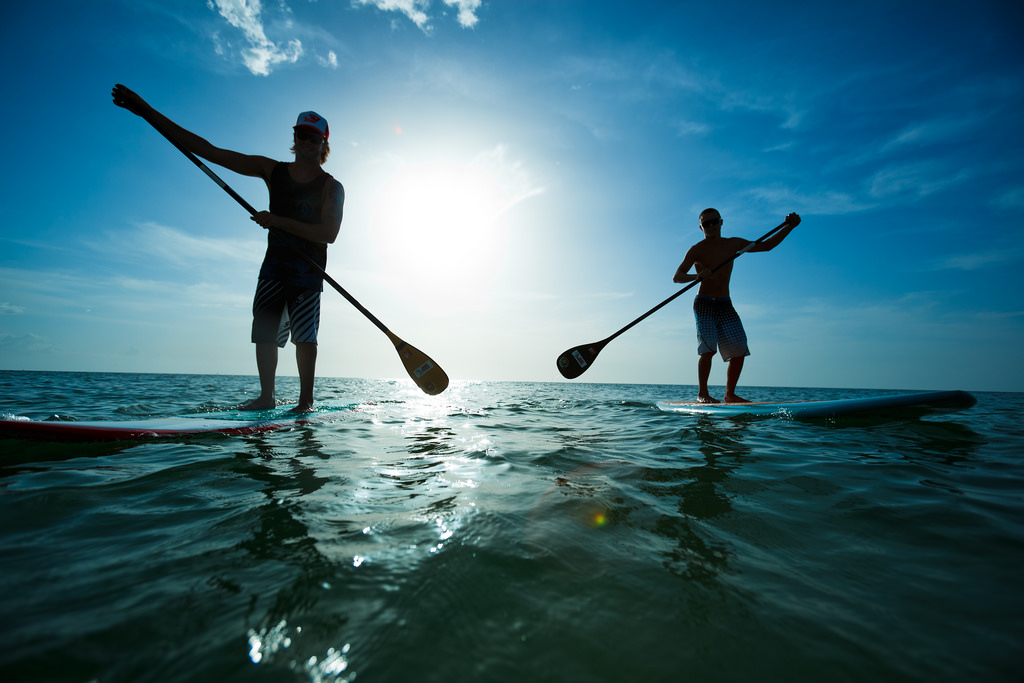 paddle 2
